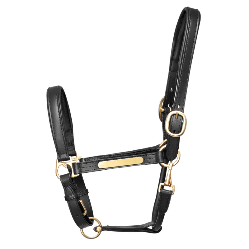 Hy Equestrian Leather Headcollar - Black