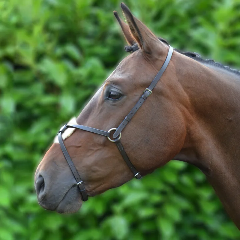 Hy Mexican Grackle Noseband - Black