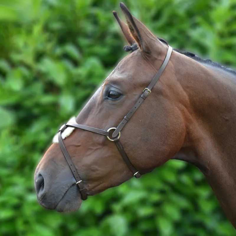 Hy Mexican Grackle Noseband - Brown