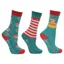 Hy Equestrian Festive Feet Junior Riding Socks - Christmas Elf
