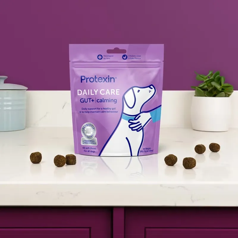 Protexin Daily Care GUT+ Dog Supplement - Calming-2