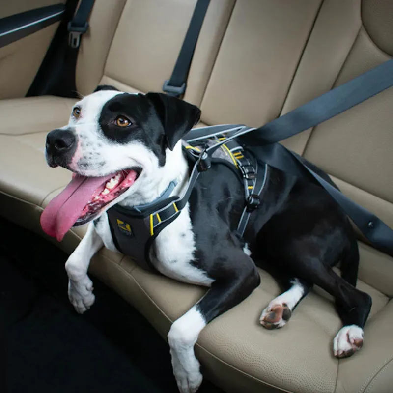 Kurgo Impact Seatbelt Dog Harness - Black-2