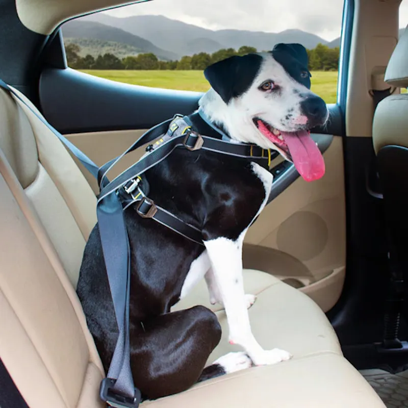 Kurgo Impact Seatbelt Dog Harness - Black-1