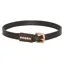 Imperial Riding Walker Glam Junior Spur Straps - Brown Croc