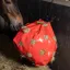 Imperial Riding Hay Fun Hay Bag - Apple