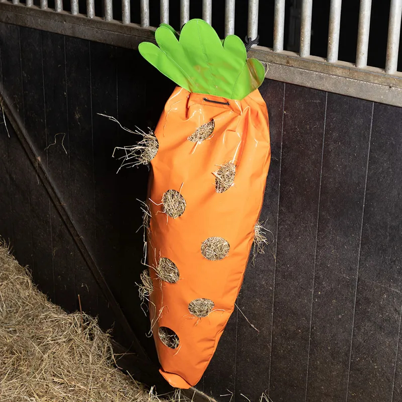 Imperial Riding Hay Fun Hay Bag - Carrot