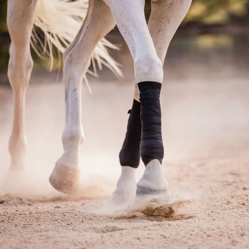 Incrediwear Equine Circulation Exercise Therapeutic Bandages - Black-7