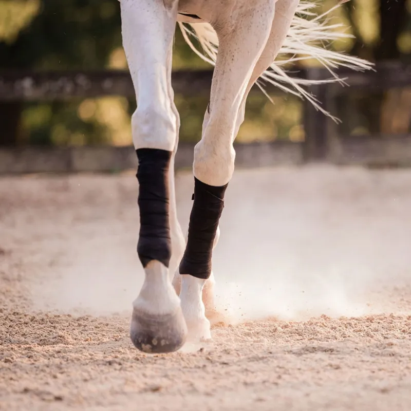 Incrediwear Equine Circulation Exercise Therapeutic Bandages - Black-5