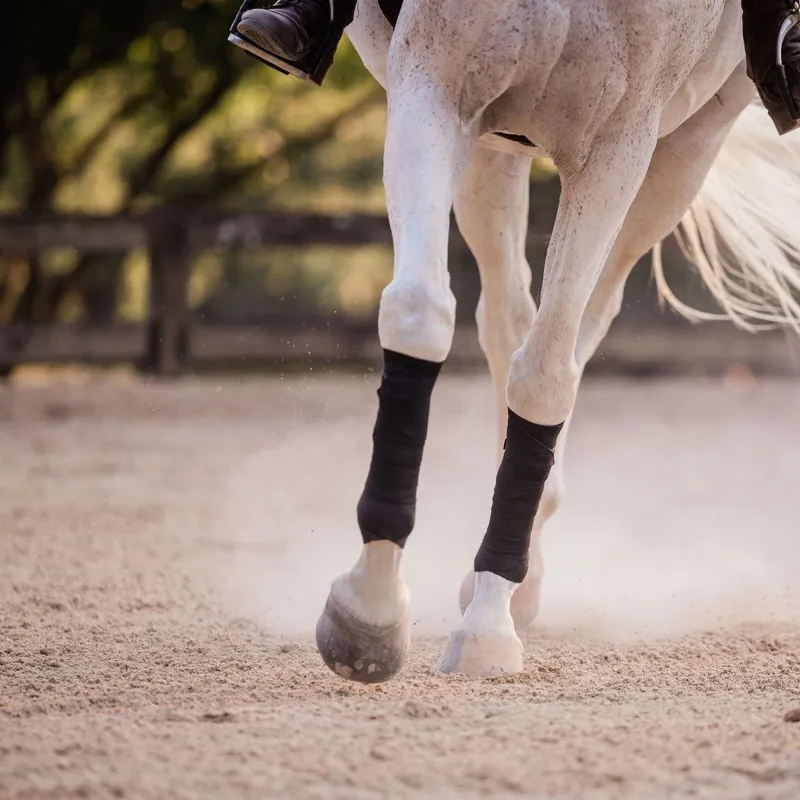Incrediwear Equine Circulation Exercise Therapeutic Bandages - Black-10