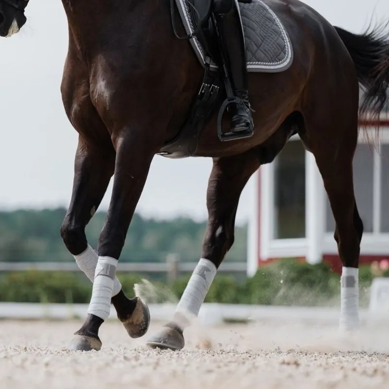 Incrediwear Equine Circulation Exercise Therapeutic Bandages - Grey-3