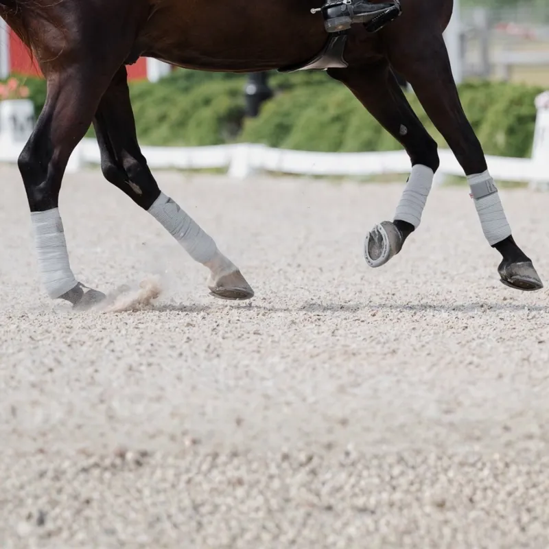 Incrediwear Equine Circulation Exercise Therapeutic Bandages - Grey-4