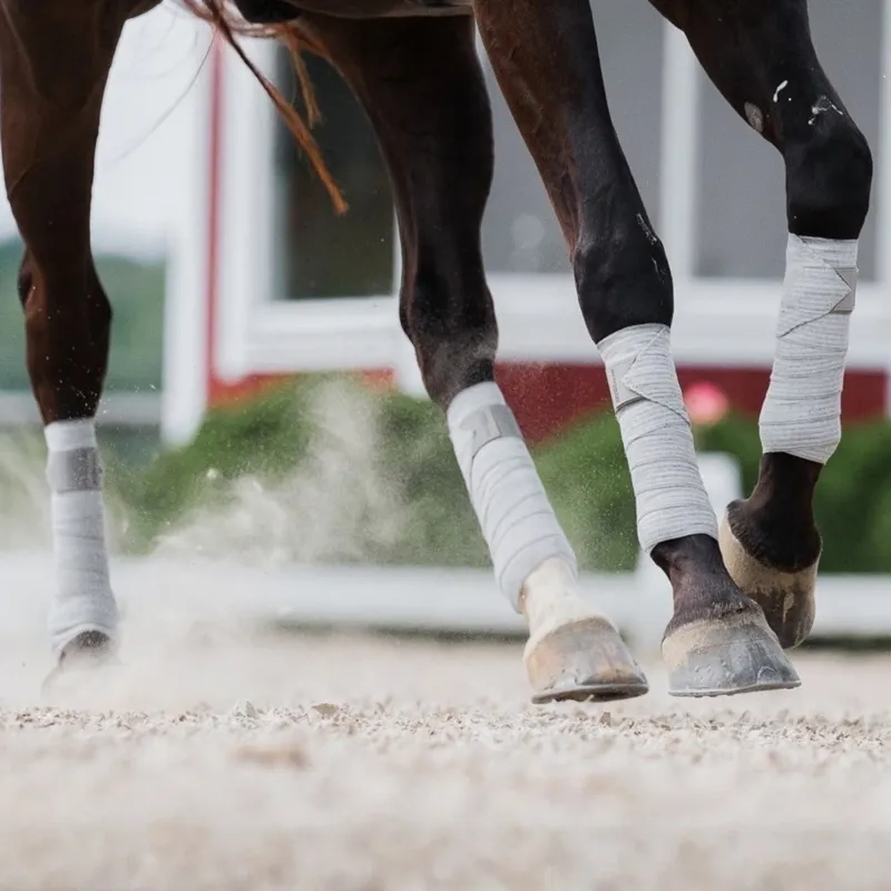Incrediwear Equine Circulation Exercise Therapeutic Bandages - Grey