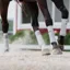 Incrediwear Equine Circulation Exercise Therapeutic Bandages - Grey