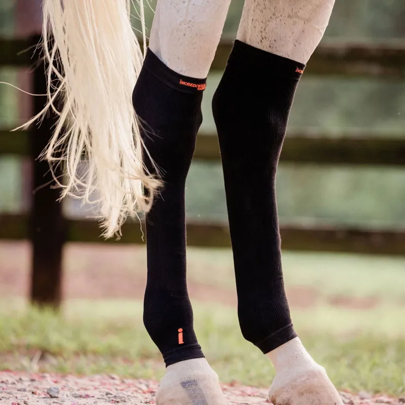 Incrediwear Equine Circulation Hock Sleeves - Black-6