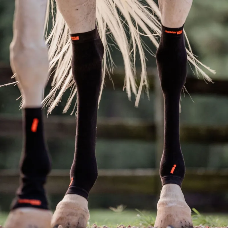 Incrediwear Equine Circulation Hock Sleeves - Black-4