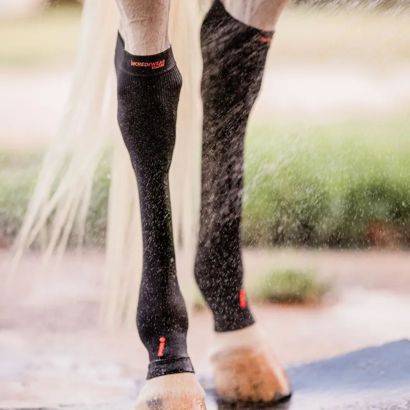 Incrediwear Equine Circulation Hock Sleeves - Black-7