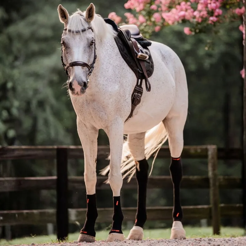 Incrediwear Equine Circulation Hock Sleeves - Black-1