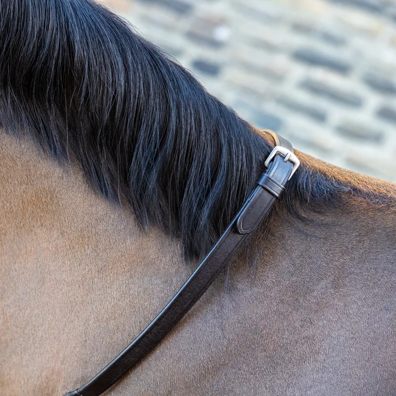 LeMieux Soft Rubber Reins with Stoppers - Brown/Brass-1