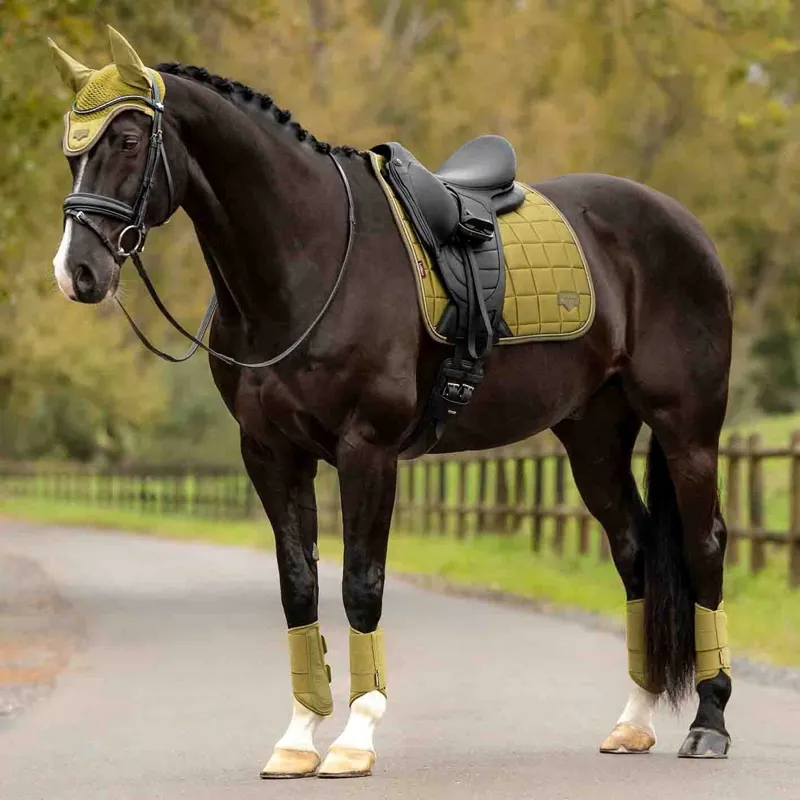 LeMieux Loire Classic Dressage Square Saddlecloth - Gooseberry-6