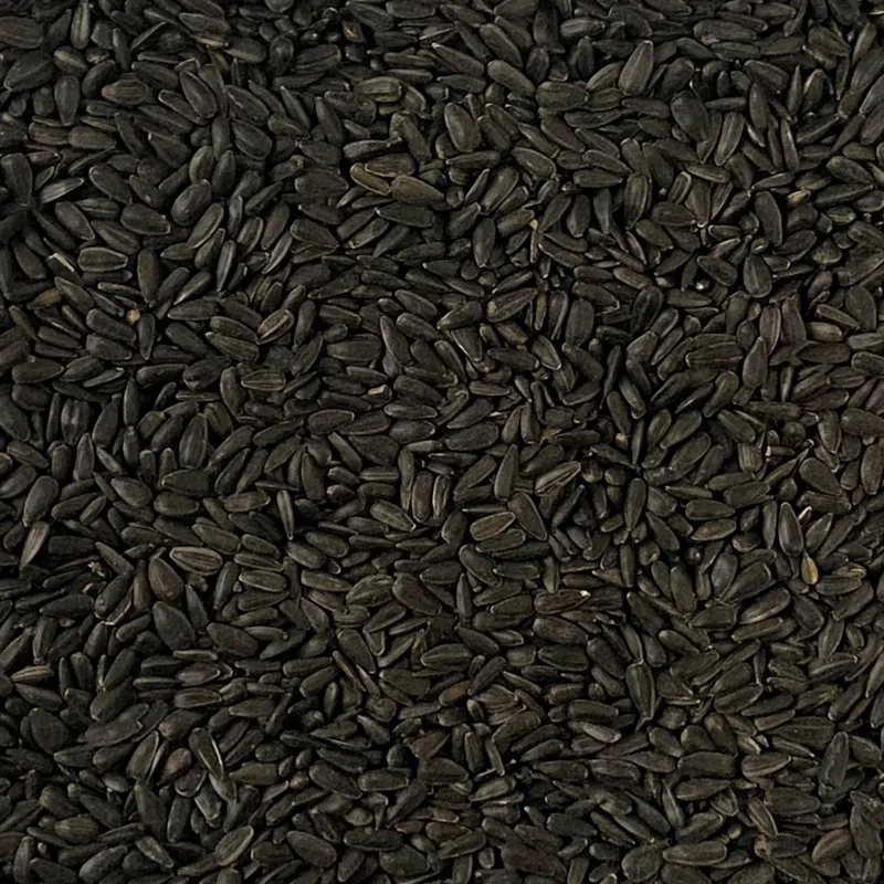Johnston and Jeff Black Oil Sunflower Seeds - 12.75kg-1