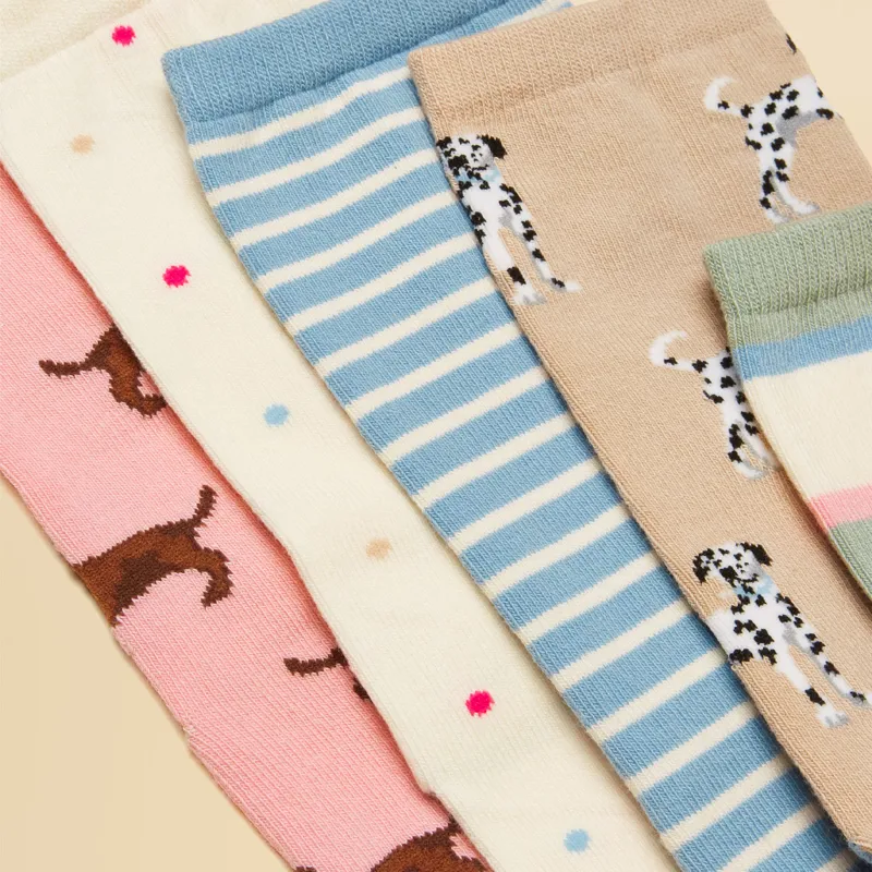 Joules Everyday Womens Socks 5 Pack - Multi Ecru Dog-2