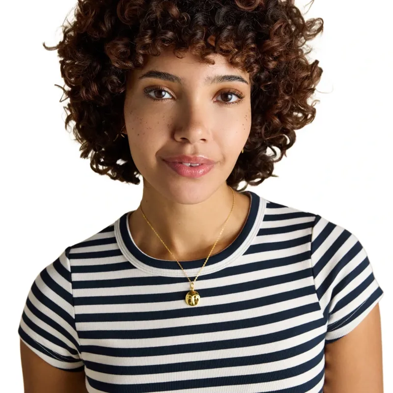 Joules Sophie Short Sleeve Womens Tee - Navy Stripe-4