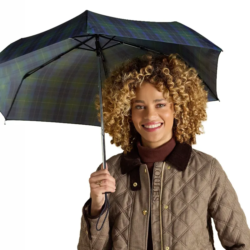 Joules Rayne Umbrella - Blue/Green Check-1