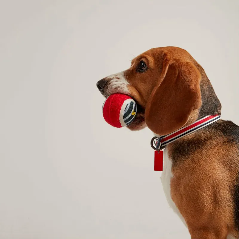 Joules Outdoor Dog Balls 3 Pack - Yellow/Red-1