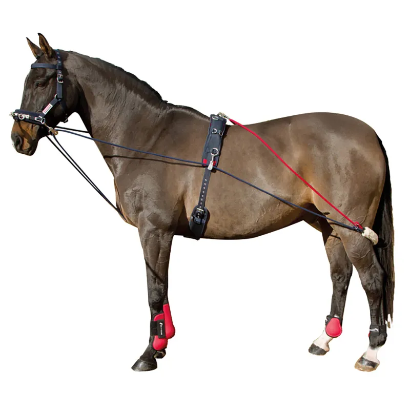 John Whitaker Training System