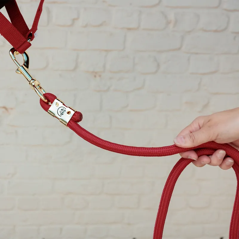 Kentucky Basic Lead Rope - Red-2