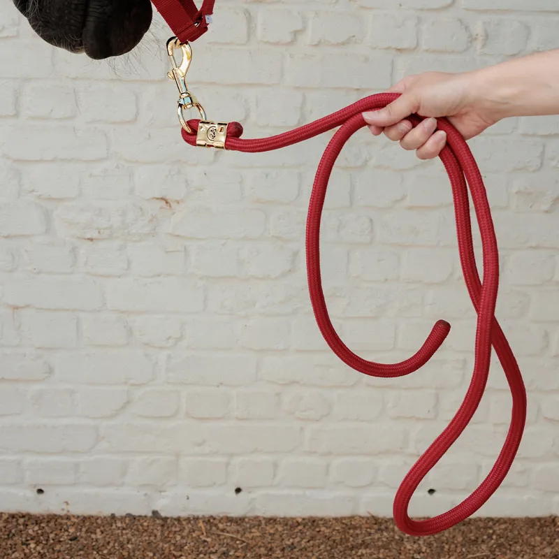 Kentucky Basic Lead Rope - Red-1