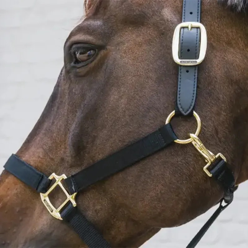 Kentucky Horsewear Breakaway Safety Headcollar Head Piece - Black-1