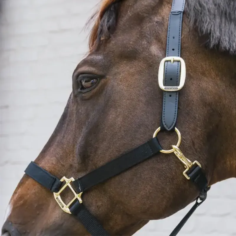 Kentucky Horsewear Nylon Breakaway Safety Headcollar - Black-2