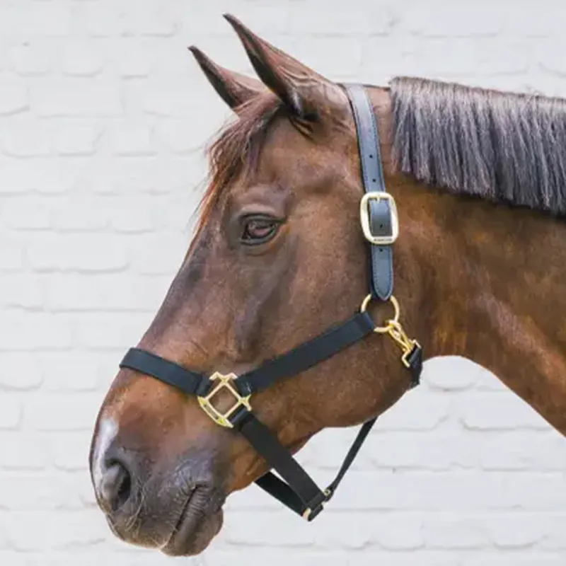 Kentucky Horsewear Nylon Breakaway Safety Headcollar - Black