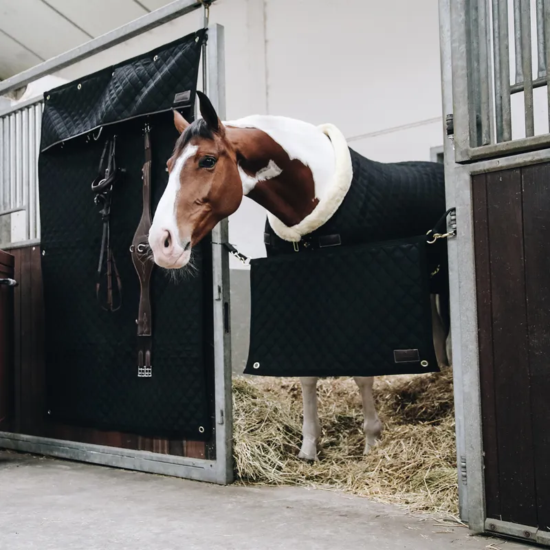 Kentucky Horsebox Cross Tie Lead - Black-1