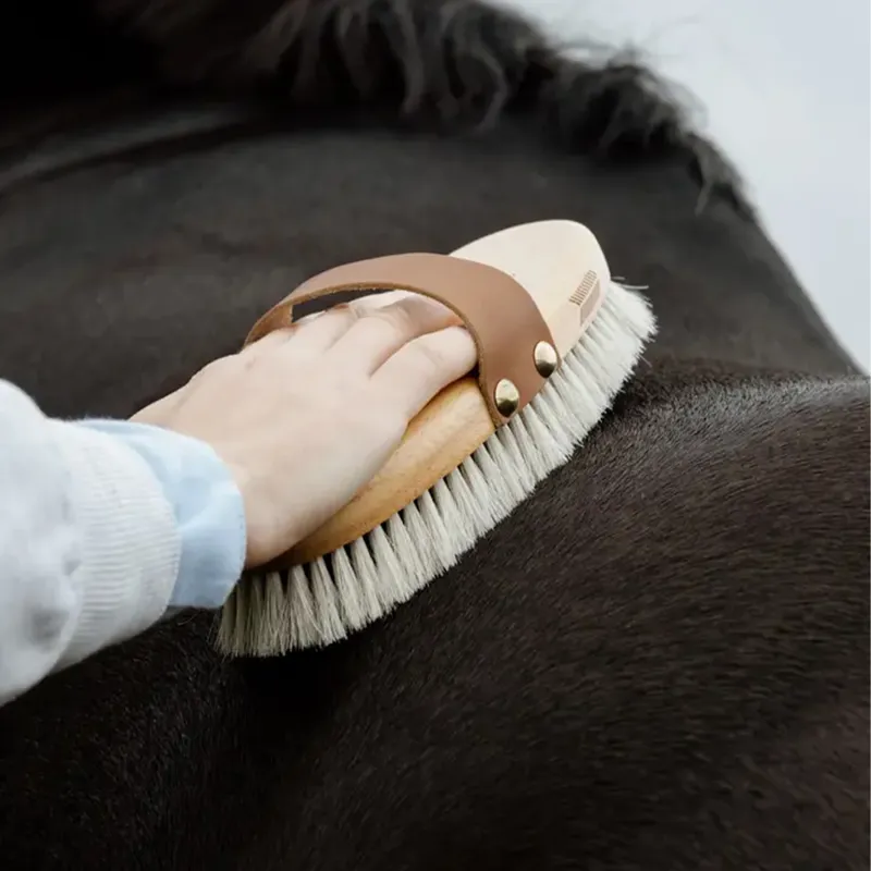 Grooming Deluxe Overall Body Shine Horse Hair Brush-2