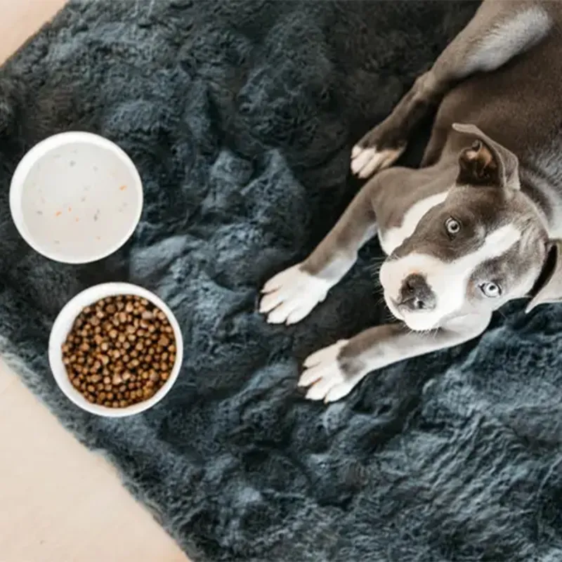 Kentucky Bamboo Terrazzo Dog Bowl - White-3