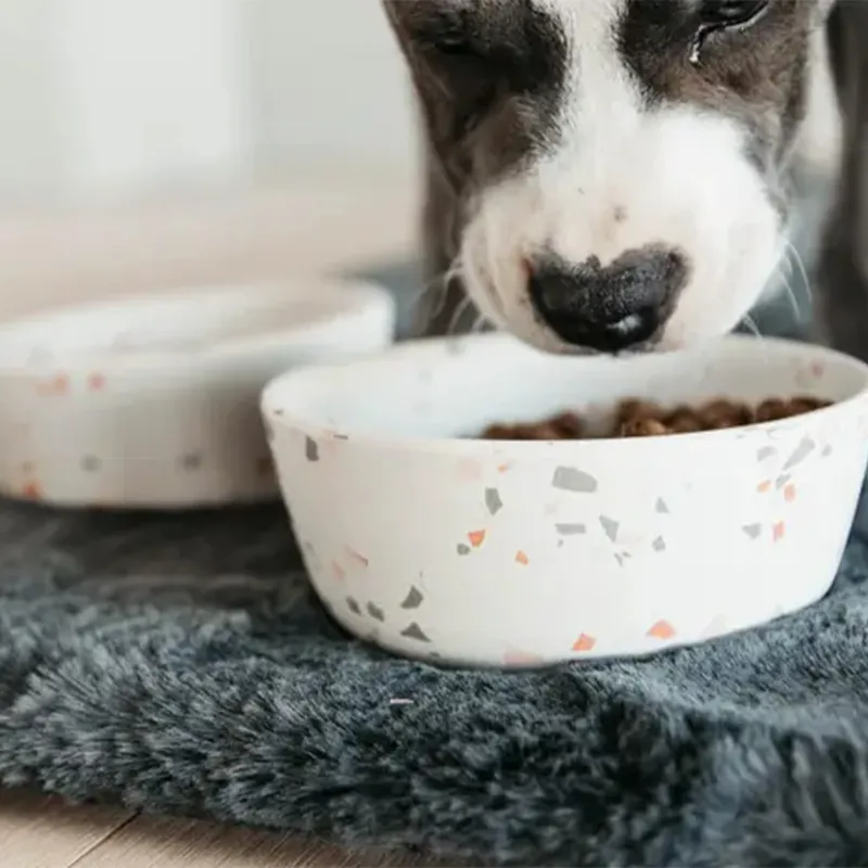 Kentucky Bamboo Terrazzo Dog Bowl - White-2