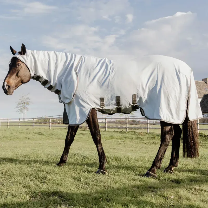 Kentucky Eczema Fixed Neck Fly Rug - Grey-2