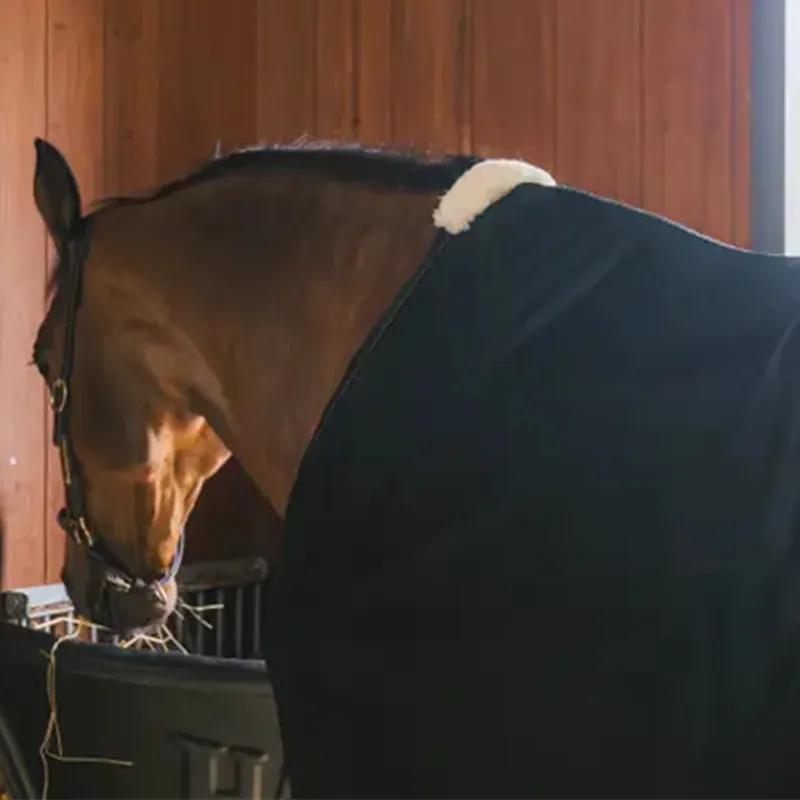 Kentucky Mesh Standard Neck Fly Sheet Rug - Black-5