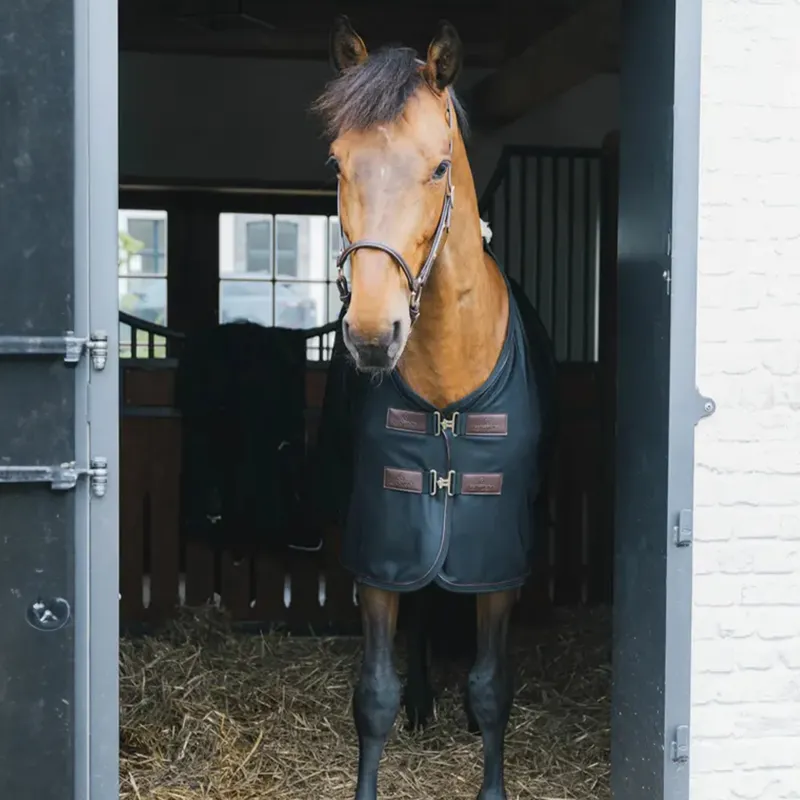 Kentucky Mesh Standard Neck Fly Sheet Rug - Black-3