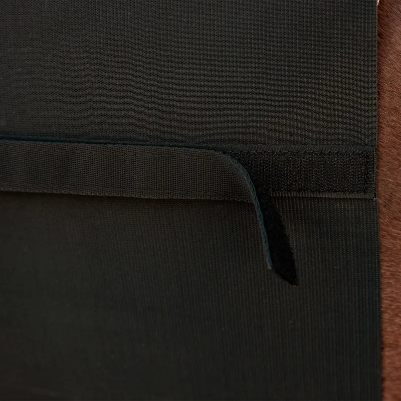 Kentucky Horse Belly Band Spur Guard - Black-5