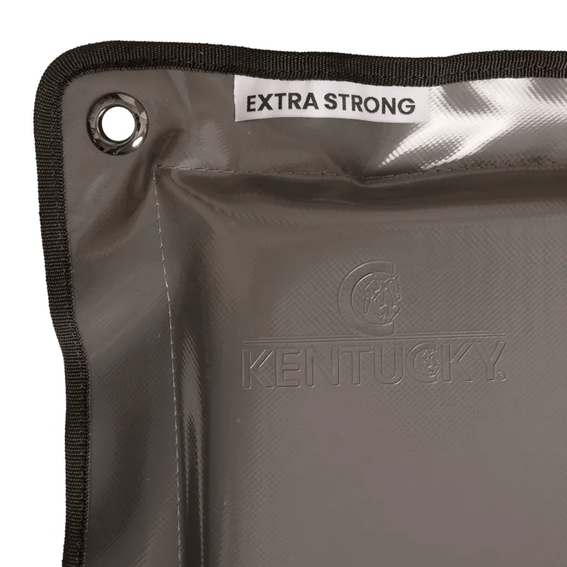 Kentucky Extra Strong Kick Pad - Grey-2