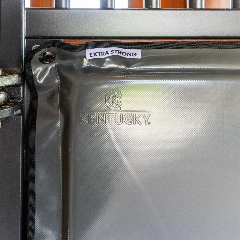 Kentucky Extra Strong Kick Pad - Grey-5