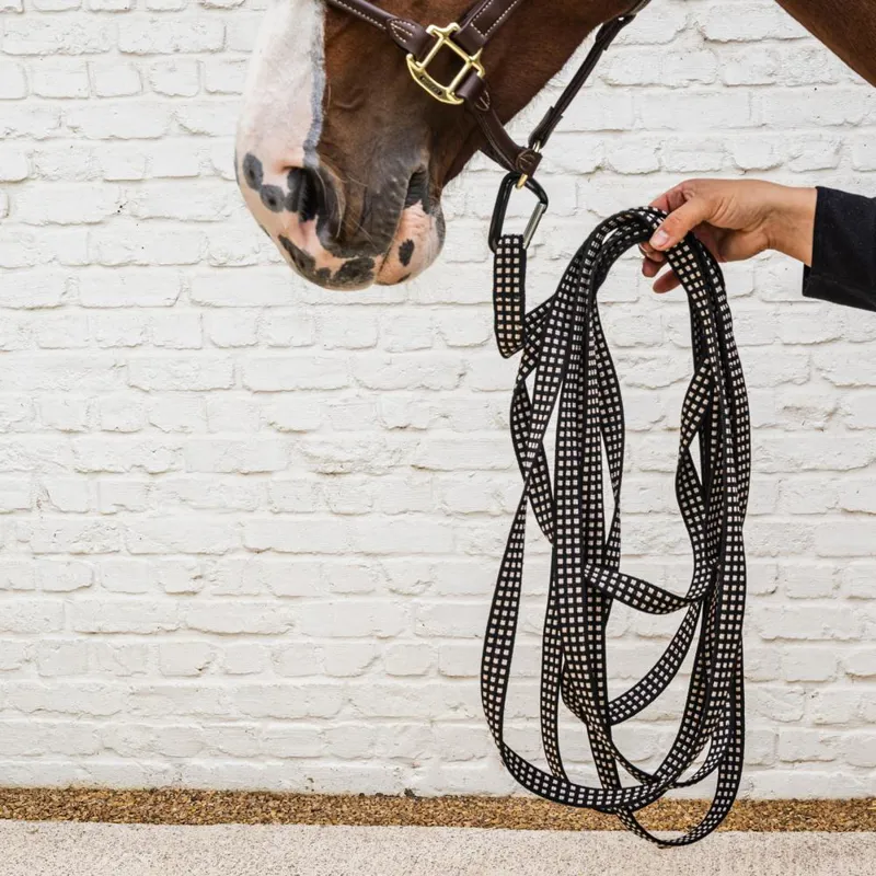 Kentucky Lunge Line - Black-1