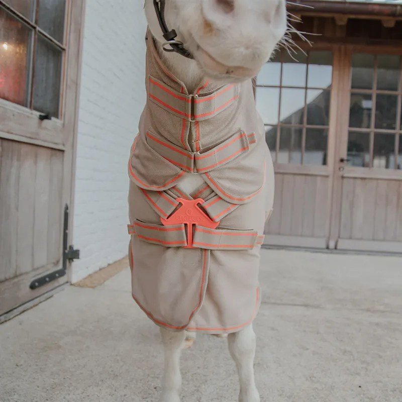 Kentucky Mesh Comfort Detachable Neck Fly Rug - Beige/Orange-6