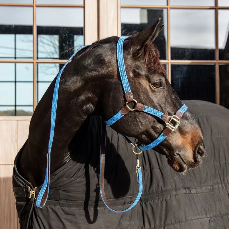 Kentucky Plaited Nylon Leadrope - Light Blue-2