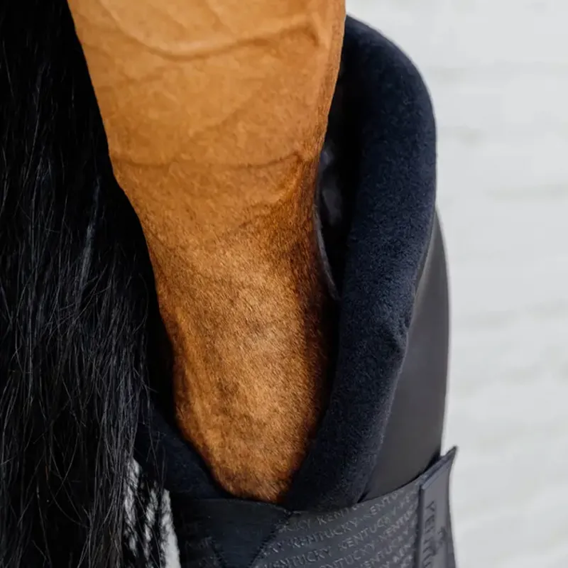 Kentucky PROtect Long Stable/Travel Hind Boots - Black-2