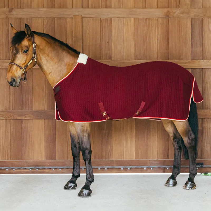 Kentucky PROTherm Cooler Rug - Bordeaux