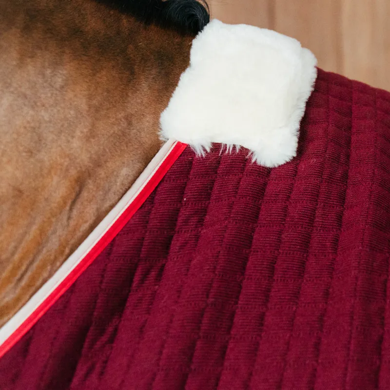 Kentucky PROTherm Cooler Rug - Bordeaux-1